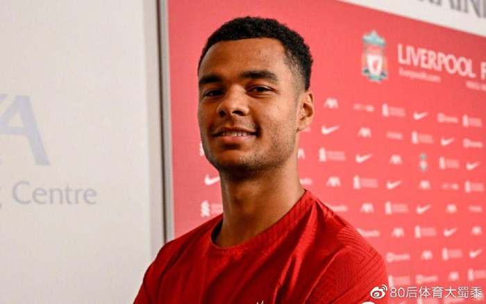 大本土球员 大本土球员