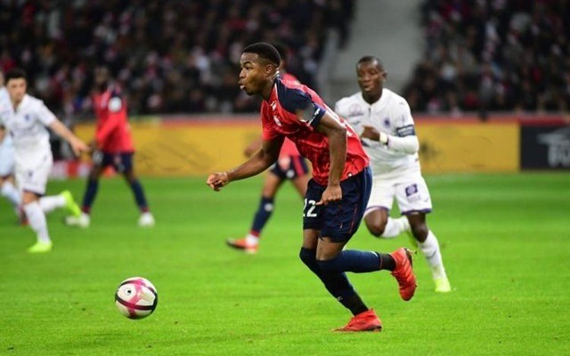 而是对一种 而是对一种